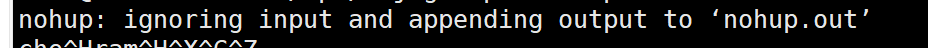 nohup:ignoring input and appending output to 'nohup.out'